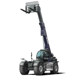 Telescopico per sollevamento cose